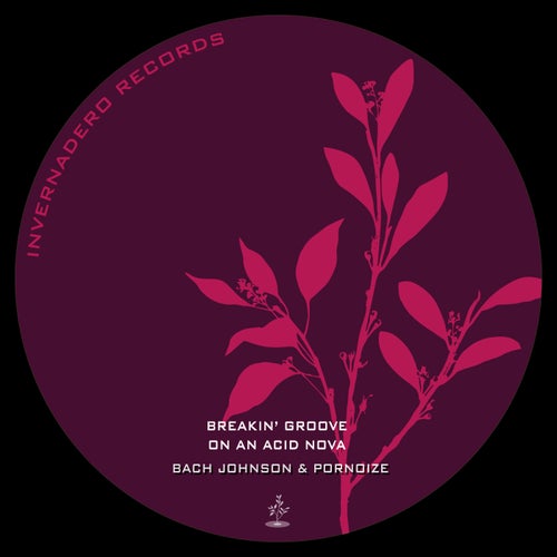 Breakin' Groove On An Acid Nova