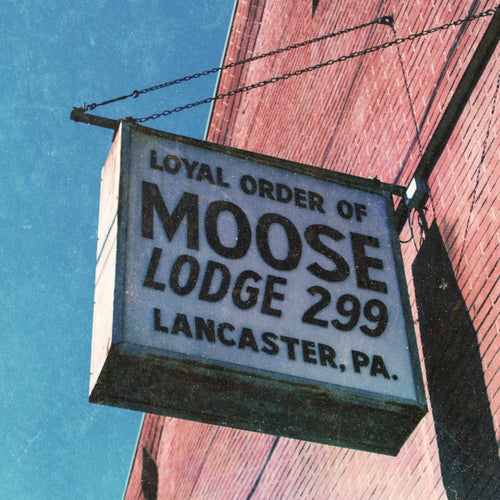 moose