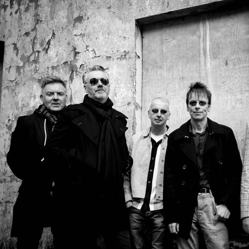 The Undertones Profile