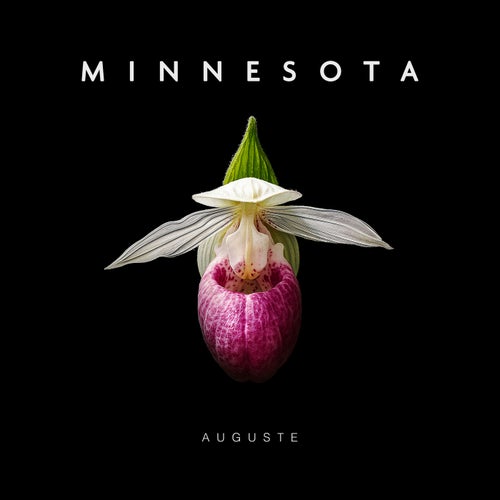 Minnesota