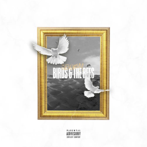 Release of the week