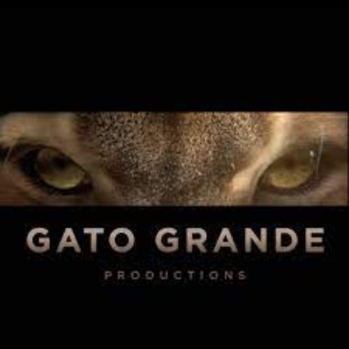 Mexico Production HoldCo/Gato Grande Profile