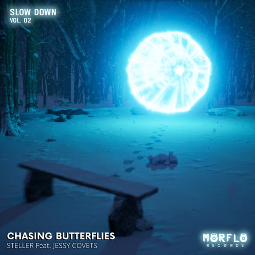 Chasing Butterflies