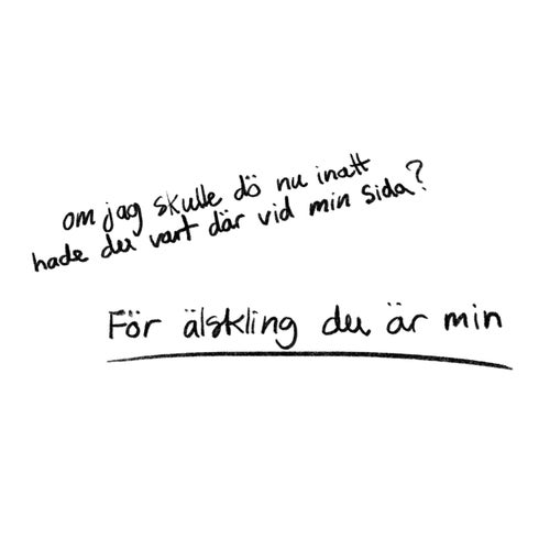Älskling du är min