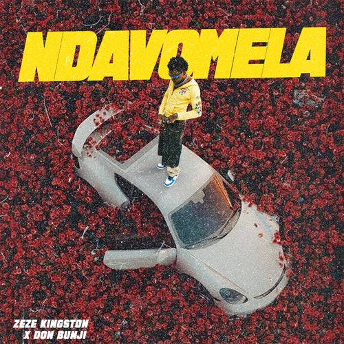 Ndavomela