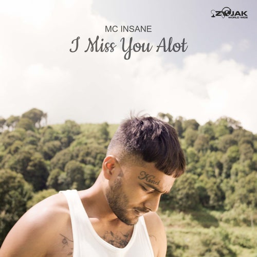 I Miss You A Lot