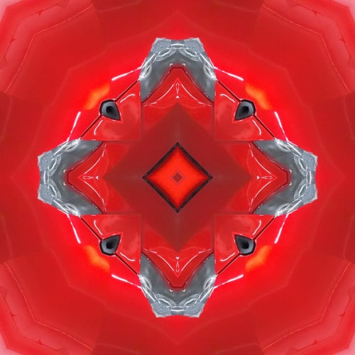 bush