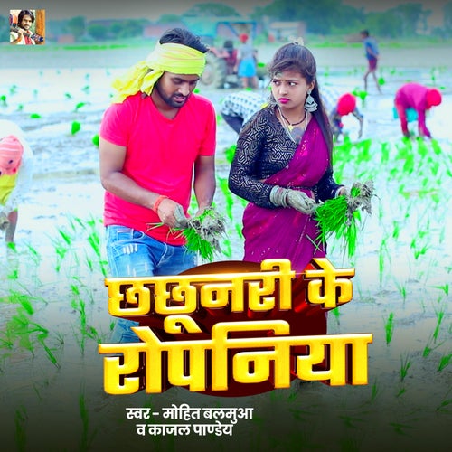 Chhachhunari Ke Ropaniya