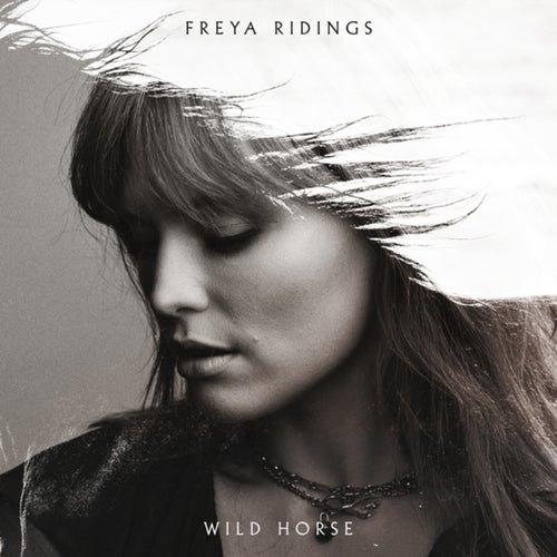 Wild Horse