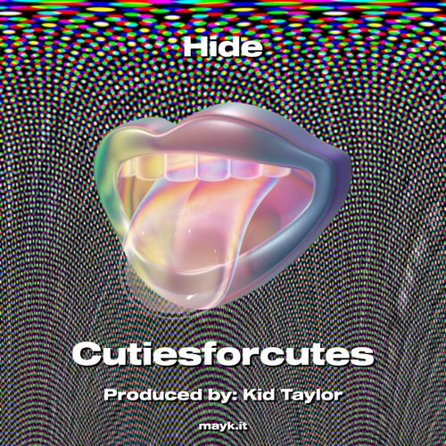 Hide