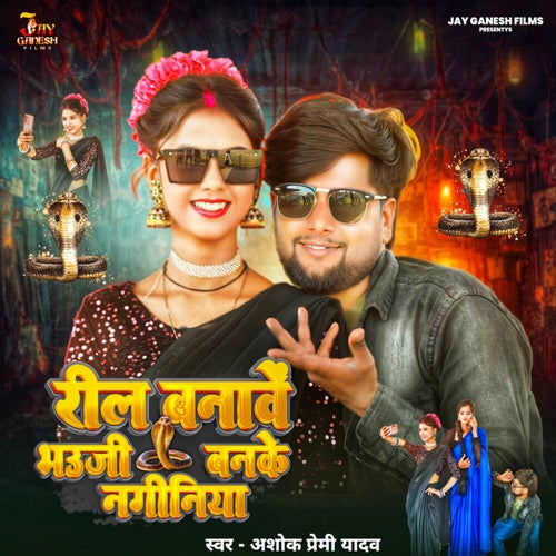 Reel Banawe Bhauji Banke Naginiya