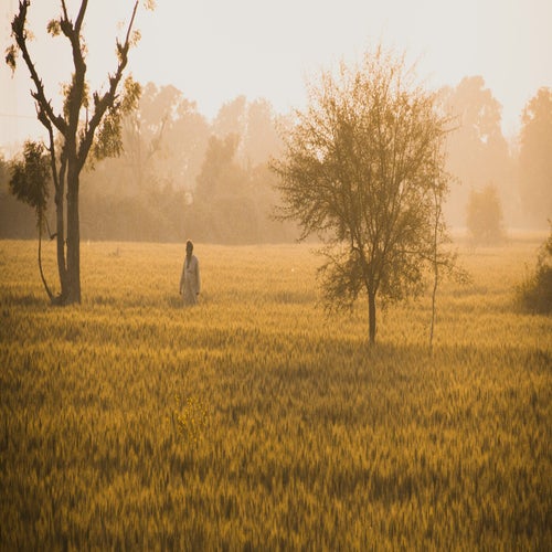 Ranjheya