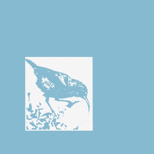 Blue Bird