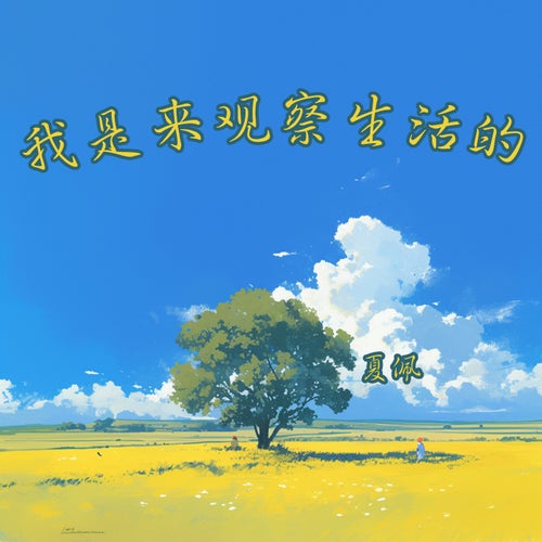 我是来观察生活的