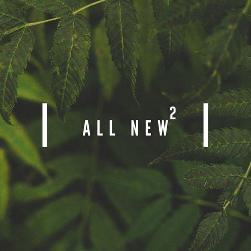 All New2
