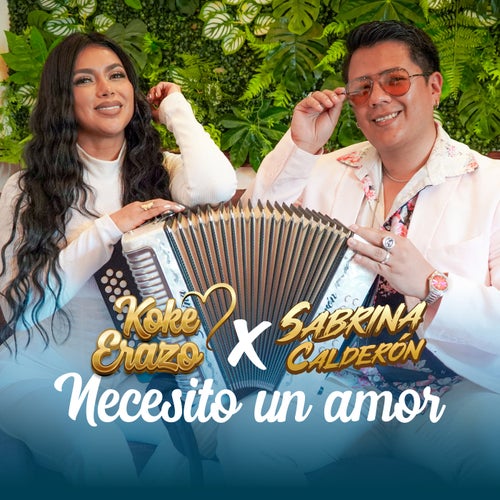 Necesito un Amor