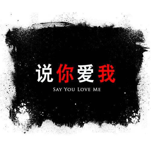 Say You Love Me