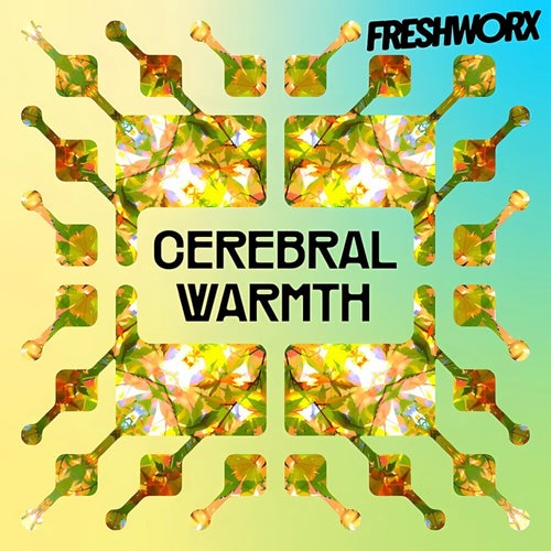 Cerebral Warmth