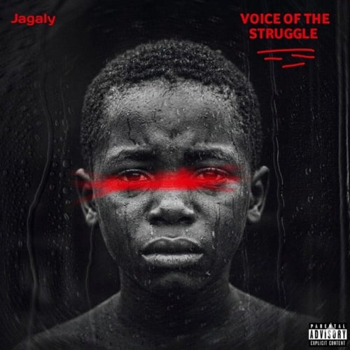 Voice of the Struggle