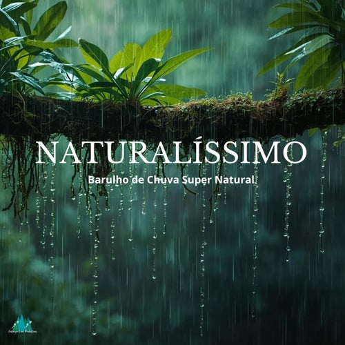 Naturalíssimo - Barulho de Chuva Super Natural