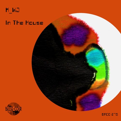 Release of the week