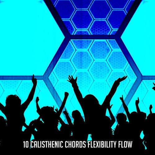 10 Calisthenic Chords Flexibility Flow