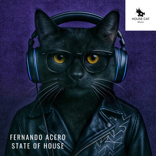 State of House (Radio Edit)