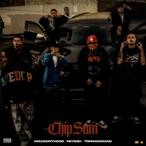 Chip Sum