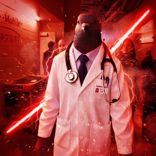 Doctor Pigeon