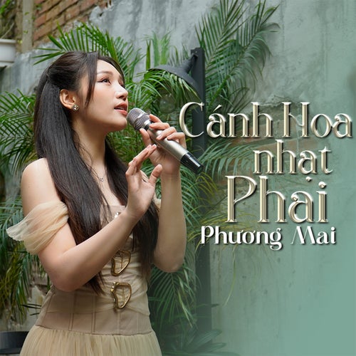Cánh Hoa Nhạt Phai