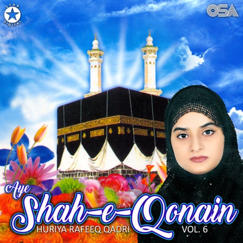 Aye Shah-e-Qonain, Vol. 6