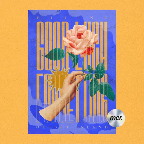 Release of the week