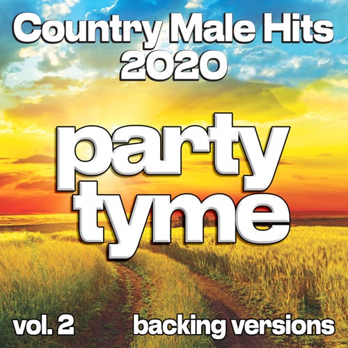 Country Male Hits 2020, Vol. 2 (Backing)