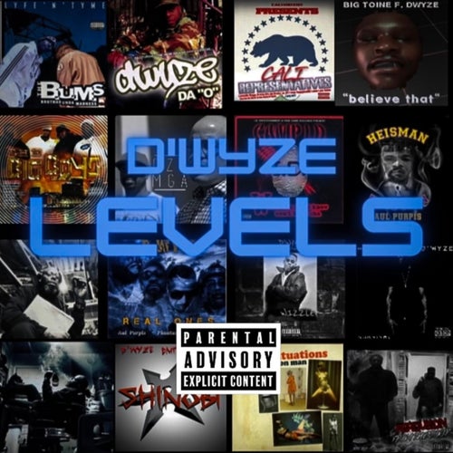 Levels
