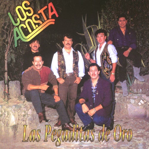 Acosta mix / a) Una chia esta llorando -