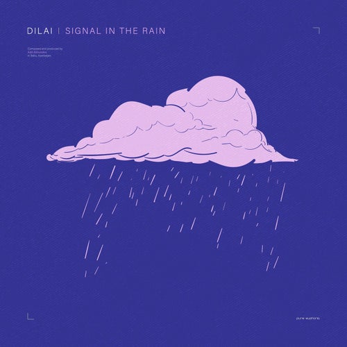 Signal in the Rain