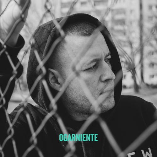 Ogarniente