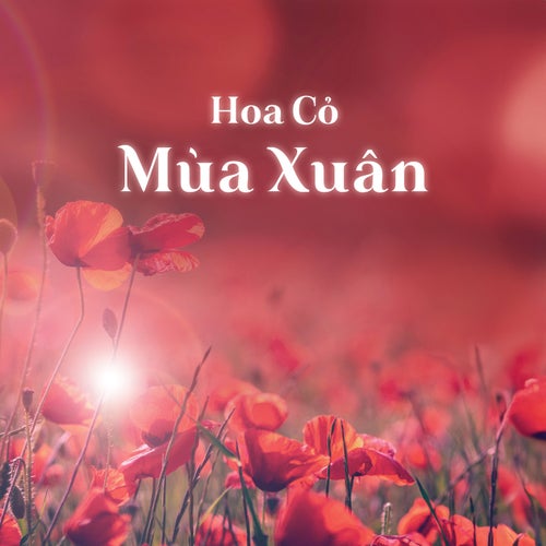 Hoa Cỏ Mùa Xuân