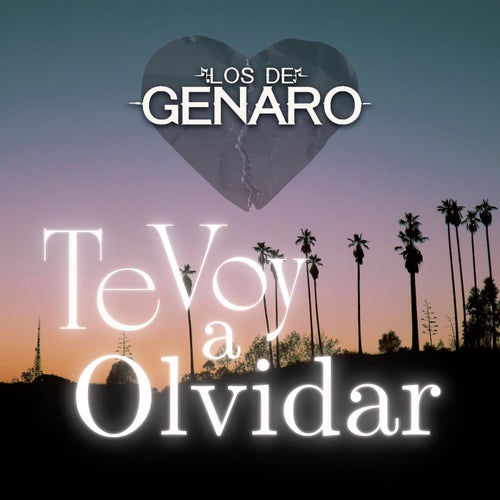 Te Voy A Olvidar