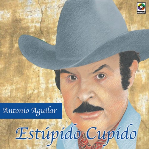 Estúpido Cupido