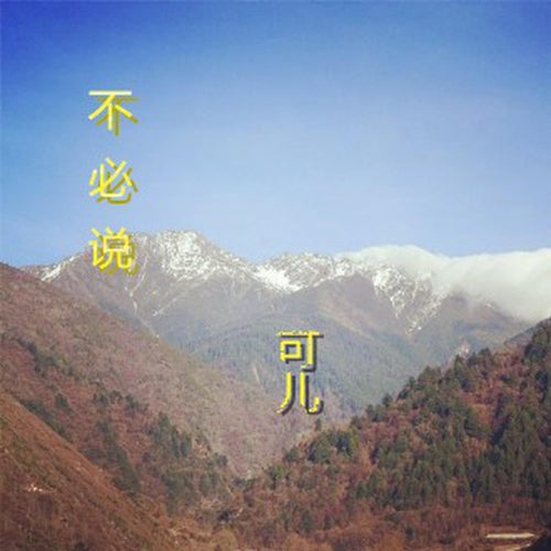 不必說