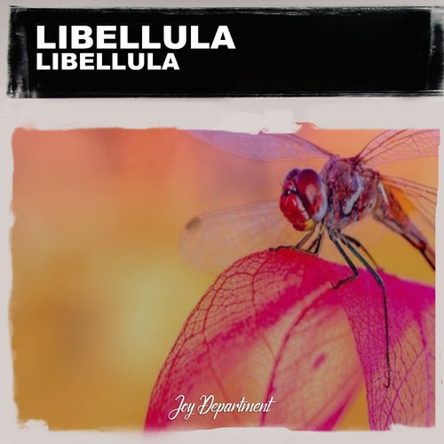 Libellula (Lorenzo Righini Classic Mix)