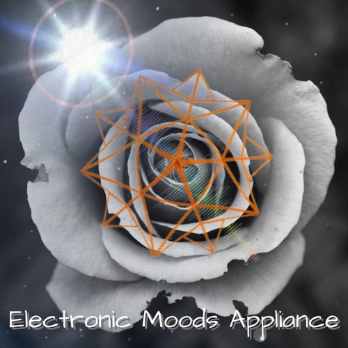 Electric Moods Appliance (The Remix)