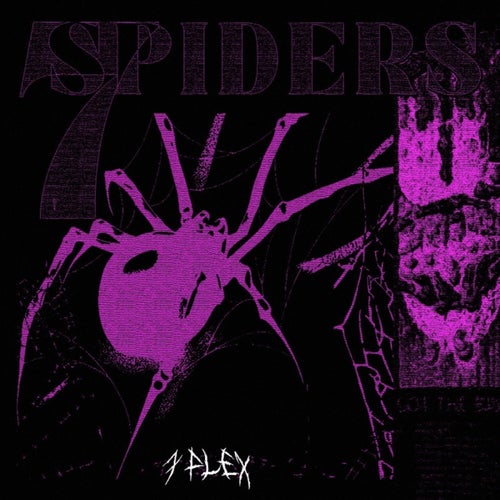 7Spiders