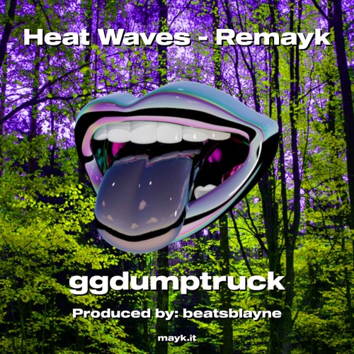 Heat Waves - Remayk