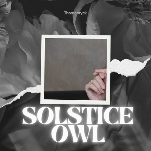 Solstice Owl