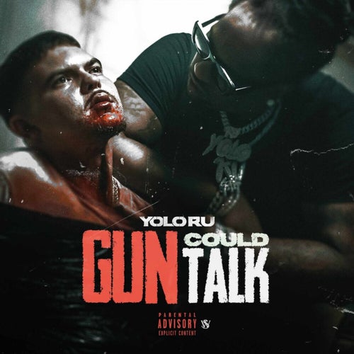 Gun Could Talk