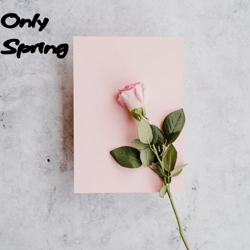 Only Spring