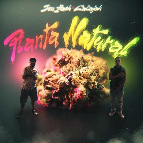 PLANTA NATURAL