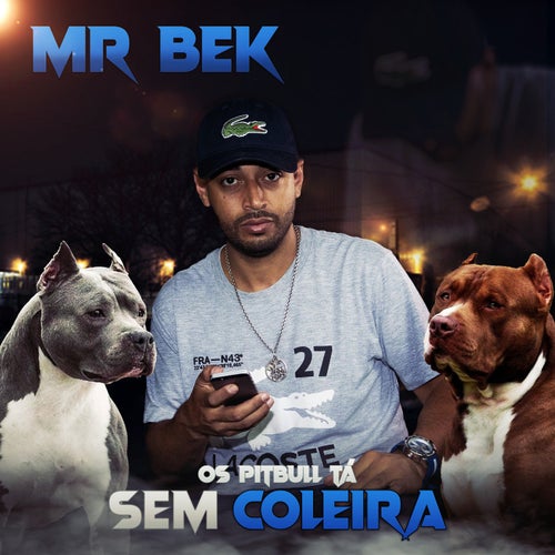 Os Pitbull Ta Sem Coleira